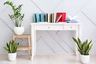 Aydınlık duvarın yanında farklı kitapları ve bitkileri olan bir masa.