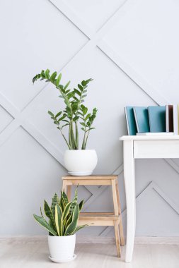 Aydınlık duvarın yanında farklı kitapları ve bitkileri olan bir masa.