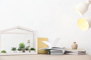 Kitaplar ve floraryum ışık duvarının yanındaki masada.