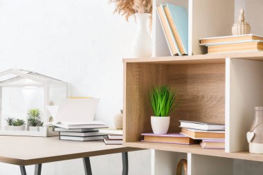 Kitaplı raflar ve ışık duvarının yanında dekor