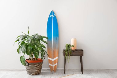 Masa, bitki örtüsü ve sörf tahtası olan modern tarz bir oda.