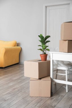 Taşındığı gün içinde eşyaların olduğu karton kutular.