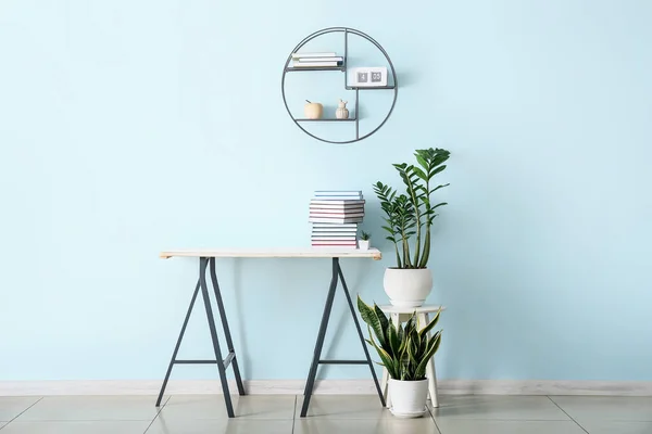 Stylish Interior Modern Room Bookshelf Houseplants — Zdjęcie stockowe