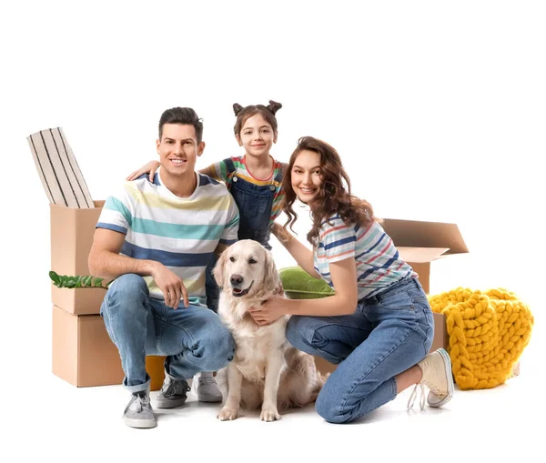 Happy Family Dog Belongings White Background — Stock Photo, Image