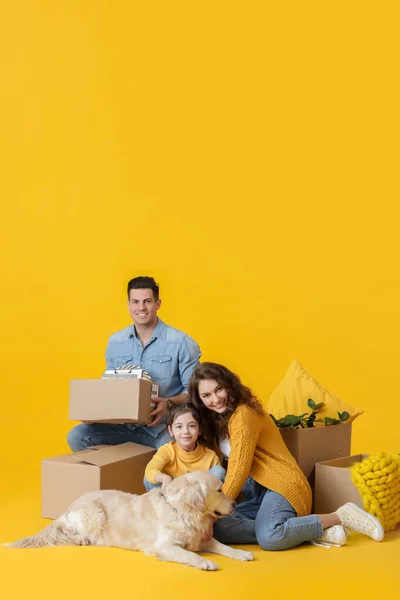 Happy Family Dog Belongings Color Background — Stock Photo, Image