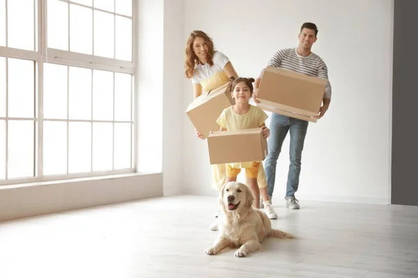 Щаслива Сім Собакою Рухомі Коробки Їхньому Новому Будинку — стокове фото