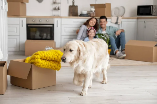 Happy Family Dog Boxes Kitchen Moving Day — Stock Photo, Image