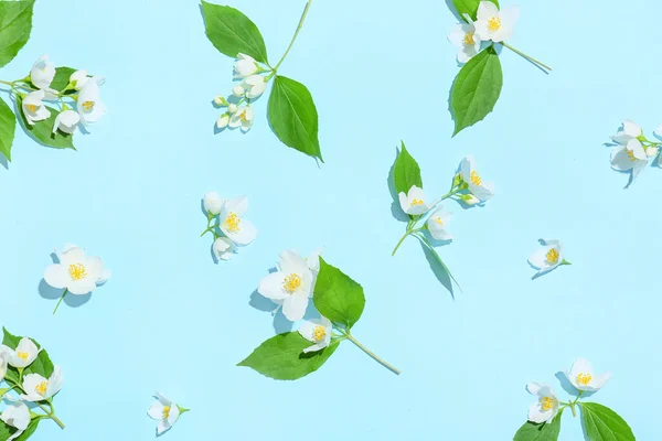 Mooie Jasmijn Bloemen Kleur Achtergrond — Stockfoto