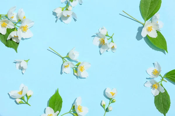 Beautiful Jasmine Flowers Color Background — Stock Photo, Image