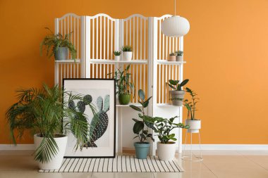 Modern katlama ekran ve renk duvarına yakın ev bitkileri