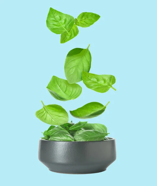 Bowl Flying Basil Leaves Color Background — Stock Photo, Image