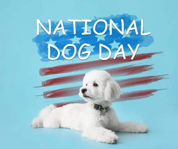 Cartão Saudação Para Dia Nacional Cão Feliz Com Friso Bichon — Fotografia de Stock