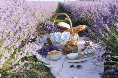Lavanta tarlasında romantik piknik için lezzetli yiyeceklerle dolu bir sepet.