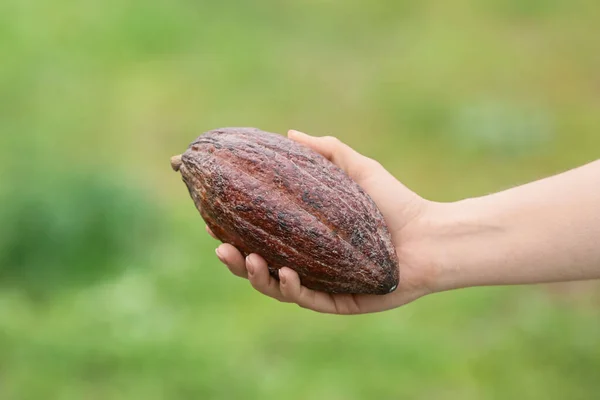 Donna Che Tiene Frutta Fresca Cacao All Aperto — Foto Stock