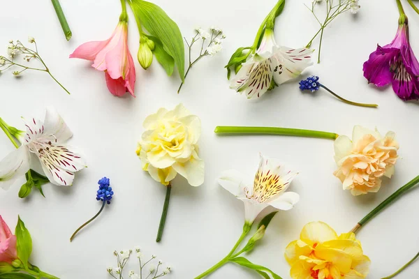 Beautiful Flowers Light Background — Stock Photo, Image