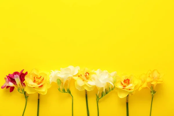 Gyönyörű Virágok Színes Háttér — Stock Fotó