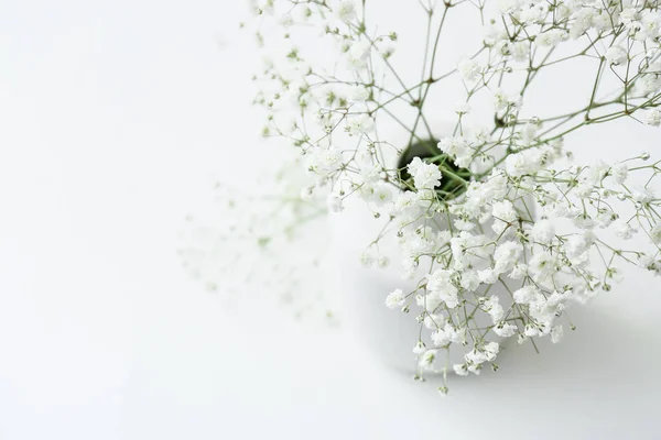 Wazon Pięknymi Cygańskimi Kwiatami Jasnym Tle Zbliżenie — Zdjęcie stockowe