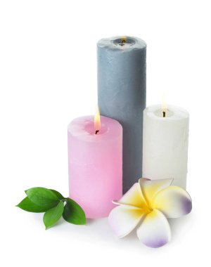 Composition with burning candles, leaves and plumeria flower on white background