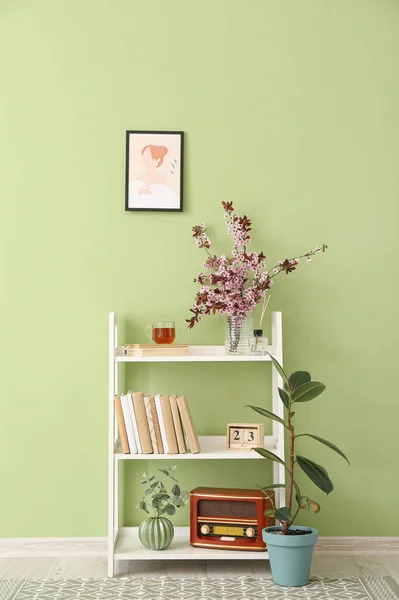 Book Shelf Blossoming Branches Houseplants Color Wall Room — Stock Photo, Image
