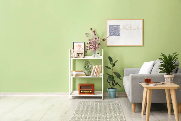 花の枝と色の壁の近くのソファと本棚 — ストック写真