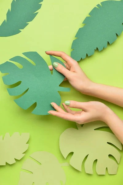 Female Hands Paper Leaves Color Background — Stock Photo, Image