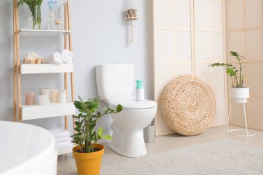 Modern, şık tuvaletlerin içinde.