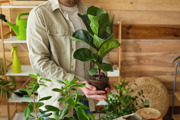 Joven Cuidando Plantas Casa — Foto de Stock