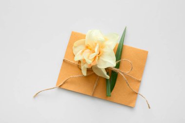 Güzel narsisus çiçeği ve beyaz arka planda zarf