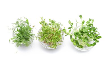 Beyaz arka planda taze mikro yeşil kaseler