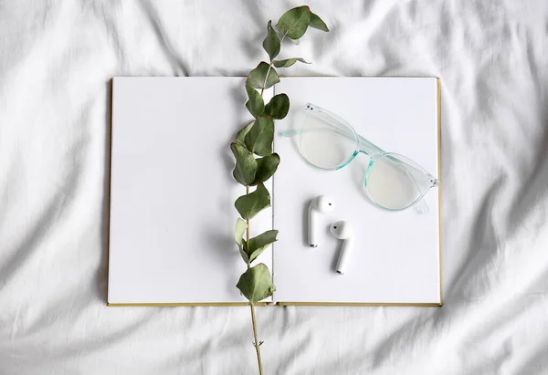 Headphones Notebook Eyeglasses Plant Branch Bed — Stock Photo, Image