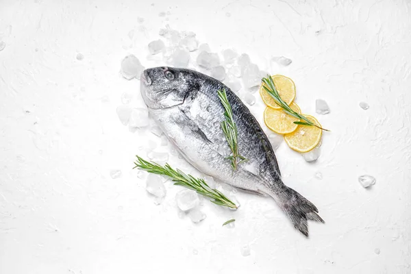 Raw Dorado Fish Light Background — Stock Photo, Image