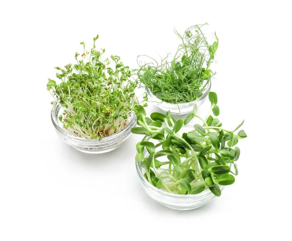 Bowls Fresh Micro Green White Background — Stock Photo, Image