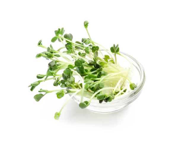 Fresh Micro Green White Background — Stock Photo, Image