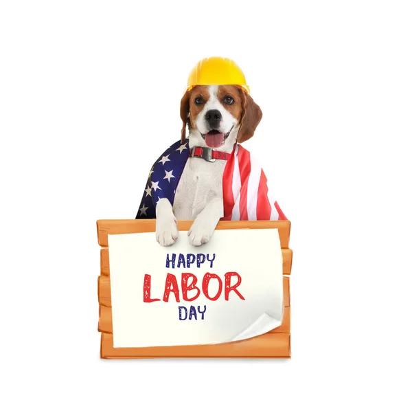 アメリカのかわいい犬と旗を持つ幸せな労働の日の挨拶カード — ストック写真