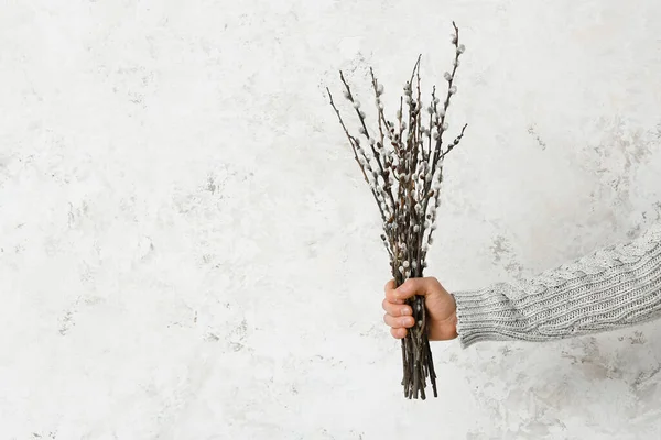 Male Hand Willow Branches Light Background — Stock Photo, Image