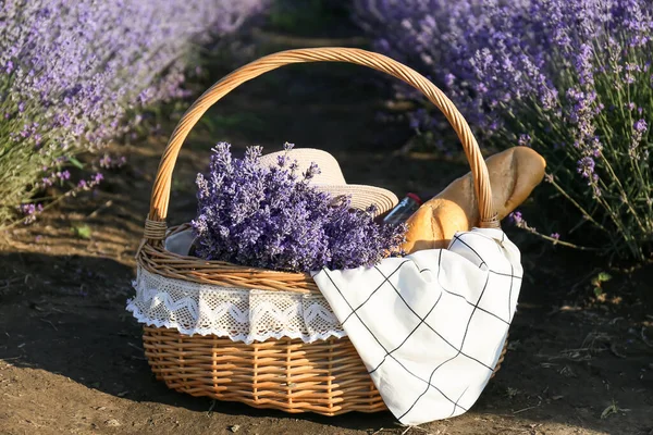 薰衣草地里的柳条箱野餐篮 — 图库照片