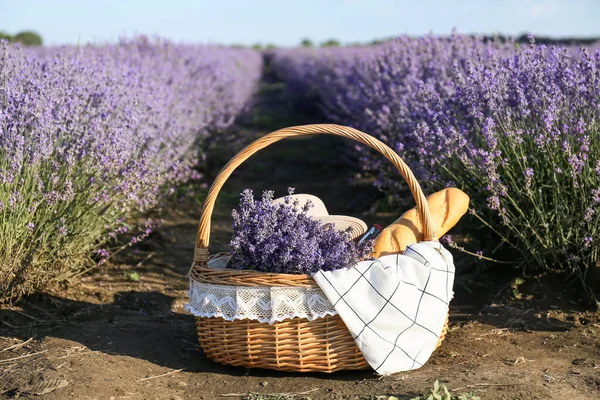 Wicker Picnic Basket Lavender Field — Stock Photo, Image