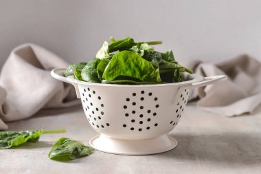 Hafif arka planda taze ıspanak yapraklı kolander.