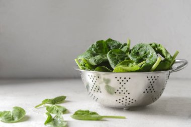 Hafif arka planda taze ıspanak yapraklı kolander.