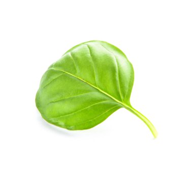 Beyaz arkaplanda taze fesleğen yaprağı