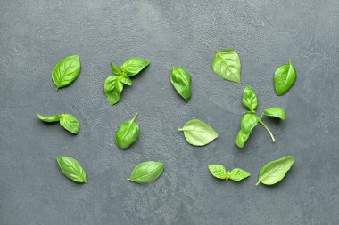 Koyu arkaplanda taze fesleğen yaprakları