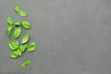 Gri arkaplanda taze fesleğen yaprakları