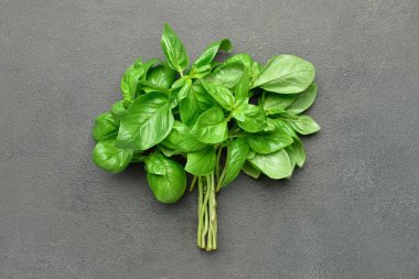 Gri arkaplanda taze fesleğen yaprakları