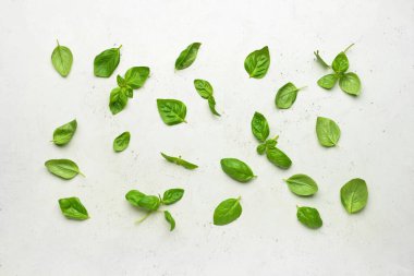 Hafif arkaplanda taze fesleğen yaprakları