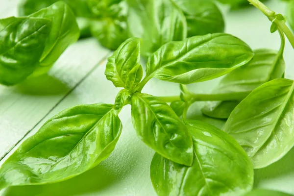 Fresh Basil Leaves Color Wooden Background Closeup — Stock Photo, Image