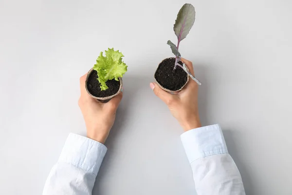 Female hands with plants seedlings in peat pots on light background