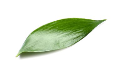 Beyaz arkaplanda yeşil çay yaprağı
