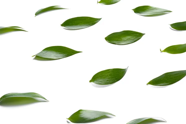 Green Tea Leaves White Background — Stock Photo, Image