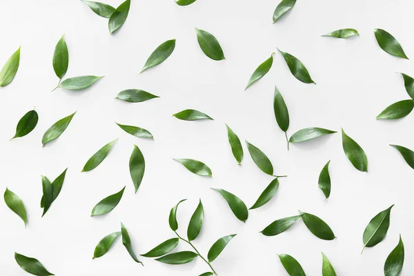 Green Tea Leaves Light Background — Stock Photo, Image