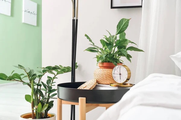 Stilvoller Wecker Und Zimmerpflanze Auf Dem Tisch Schlafzimmer — Stockfoto